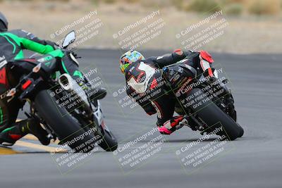 media/Jan-14-2023-SoCal Trackdays (Sat) [[497694156f]]/Turn 12 Backside (1010am)/